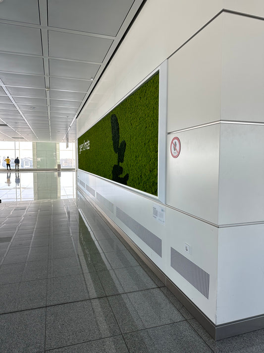 Airline customer service and phone numbers