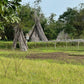 Tall, dried tree trunks leaning against a fence in a grassy field with trees in the background.
