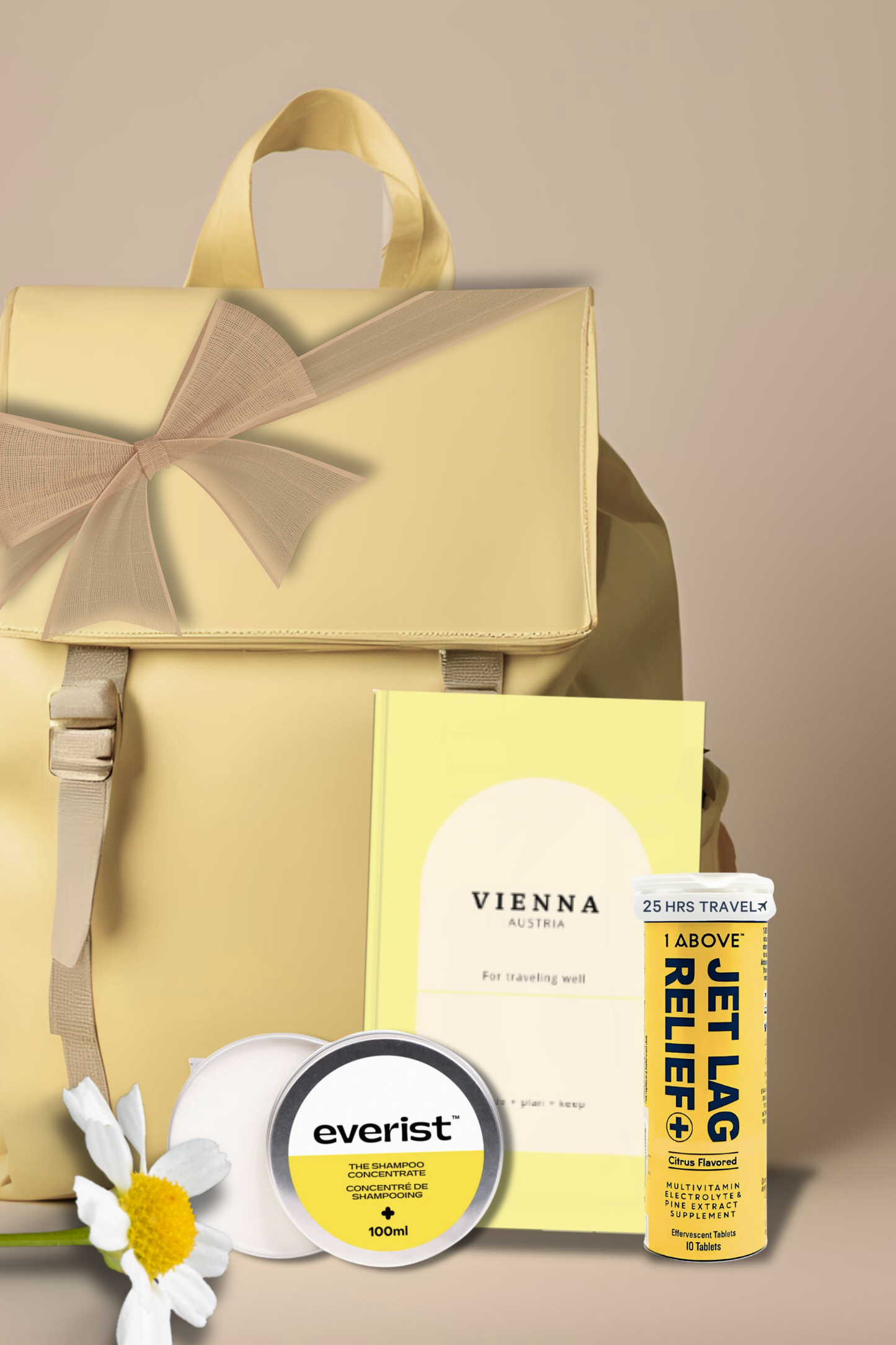 Vienna Travel Guide Book, an Elegant Trip Planner for Austria Book by Travwell