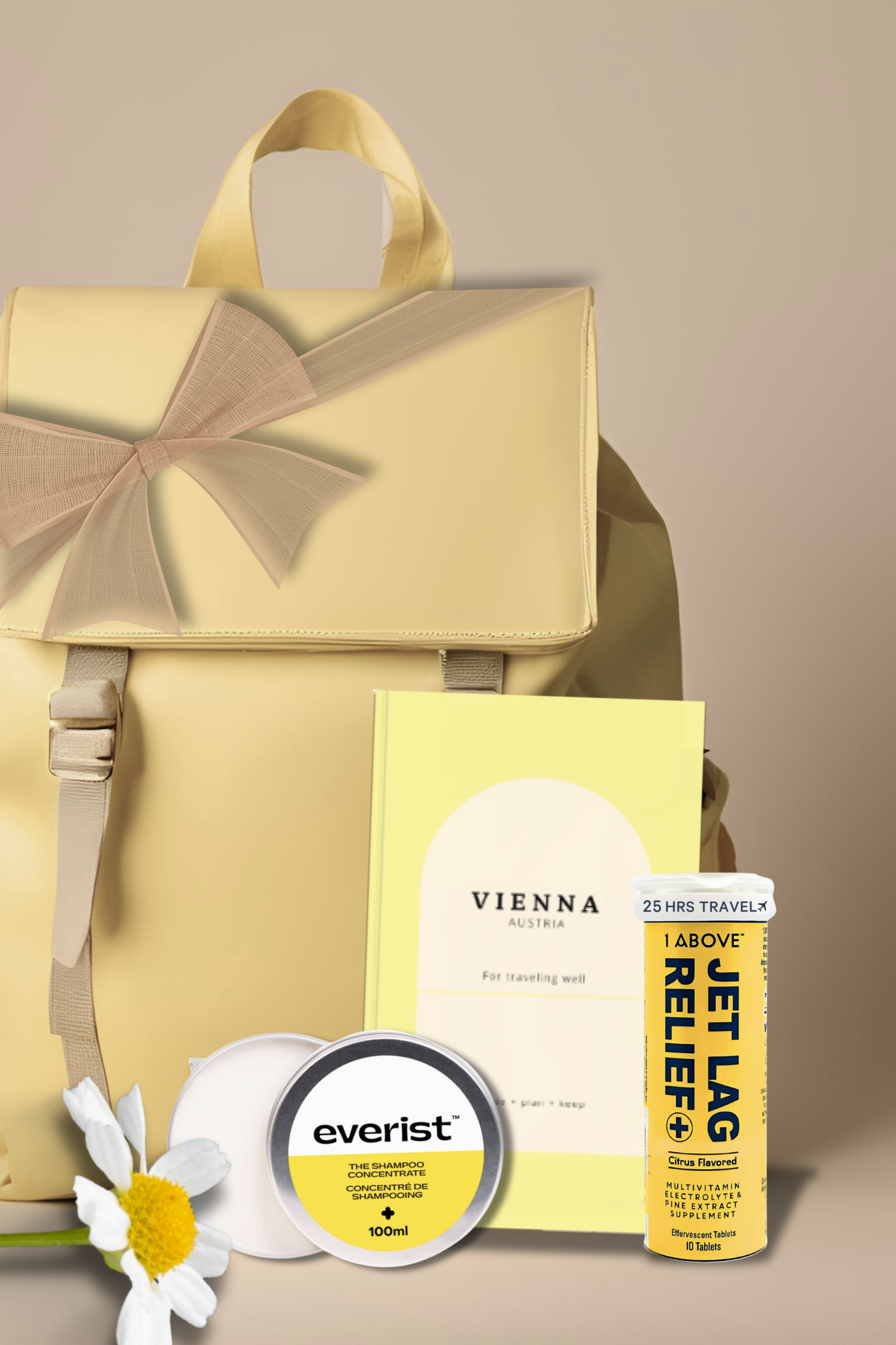 Vienna Travel Guide Book, an Elegant Trip Planner for Austria Book by Travwell