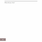 Quebec City Travel Guidebook: Get Culture, Cafés, & Itinerary Tips Book by Travwell