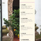 Mexico City Guidebook: Plan Your Adventure with Clarity Book by Travwell