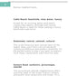 Nassau Bahamas Trip Planner: Pink Sands, Pigs & Island Vibes Book by Travwell